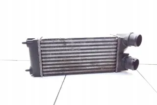 9656503980 Интеркулер Citroen Berlingo 2  Арт e12068981, вид 4