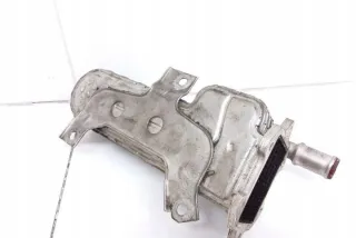 038131513AD Радиатор EGR Seat Altea Арт e12068929, вид 1