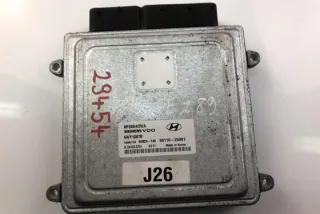 3911025081 Блок управления двигателем Hyundai Sonata (NF) Арт e12059640, вид 1