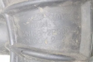 281382P300 Гофра инжектора Hyundai Santa FE 2 (CM) Арт e12023137, вид 2