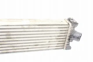 CC119L440AE Интеркулер Ford Transit Custom Арт e11992959, вид 1