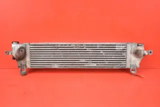 14461-JD50A Интеркулер Nissan Qashqai 1  Арт e11991330, вид 1