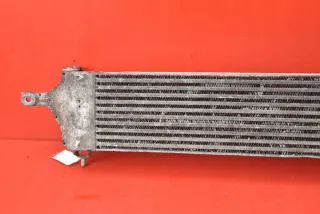 14461-JD50A Интеркулер Nissan Qashqai 1  Арт e11991330, вид 9