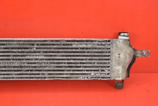 14461-JD50A Интеркулер Nissan Qashqai 1  Арт e11991330, вид 10