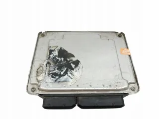 038906019DQ 0281010891 2002-2008 Блок управления двигателем Seat Ibiza 3 Арт e11981396, вид 3