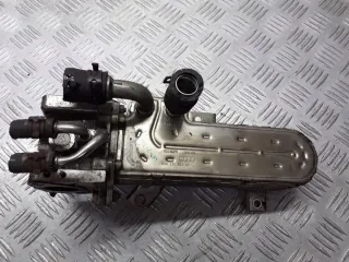 038131513AD Радиатор EGR Seat Leon 2 Арт e11941277, вид 1
