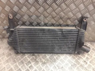 14461EB360 Интеркулер Nissan Pathfinder 3 Арт e11906351, вид 1