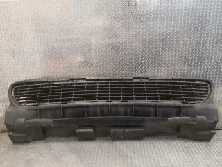 1698850023 Решетка радиатора Mercedes A W169 Арт e11890704, вид 1