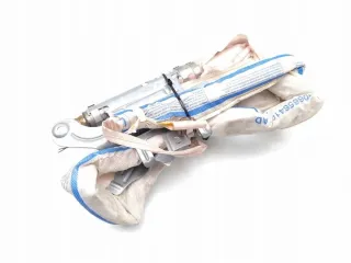 84913802105 Подушка безопасности BMW 5 F10/F11/GT F07 Арт e11882813, вид 3