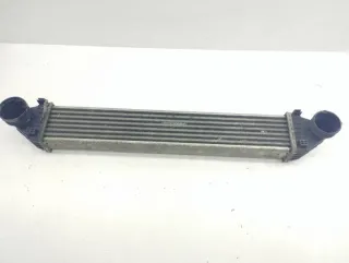 A1695000000 Интеркулер Mercedes B W245 Арт e11873577, вид 1
