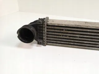 A1695000000 Интеркулер Mercedes A W169 Арт e11873566, вид 3