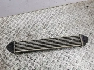 A1695000000 Интеркулер Mercedes A W169 Арт e11873565, вид 1
