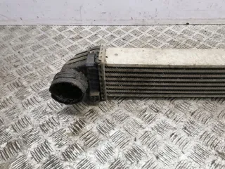 A1695000000 Интеркулер Mercedes A W169 Арт e11873563, вид 7