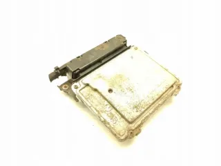 03G906021RS Блок управления двигателем Volkswagen Passat B6 Арт e11869233, вид 5