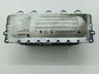 6087393 Подушка безопасности BMW 5 F10/F11/GT F07 Арт e11866135, вид 1