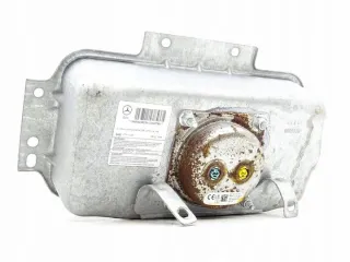 A1668602402 Подушка безопасности Mercedes ML/GLE W166 Арт e11842471, вид 3