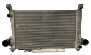 A1695000000 A1695001604 A1695000703 Интеркулер Mercedes A W176 Арт e11787449, вид 2