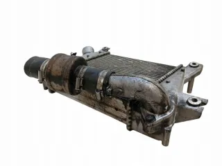 YD22DDTI Интеркулер Nissan X-Trail T30 Арт e11696083, вид 3