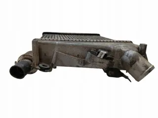 YD22DDTI Интеркулер Nissan X-Trail T30 Арт e11696083, вид 5