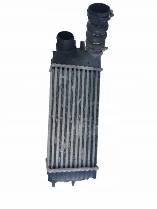 9645965180 Интеркулер Citroen Xsara Арт e11696013, вид 1