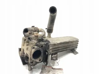 038131513AD LORK-2033-17484 Радиатор EGR Volkswagen Golf 5 Арт e11695953, вид 1