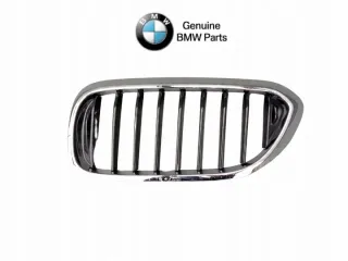 51137383519 Решетка радиатора BMW 5 G30/G31 Арт e11684841, вид 1