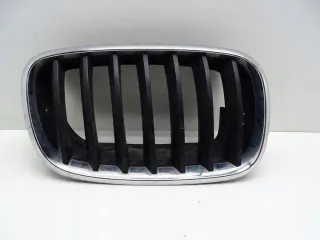 7171396 17399287484 Решетка радиатора BMW X5 E70 Арт e11661117, вид 1