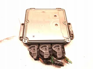 0281017613 LORK-486-23377 Блок управления двигателем Renault Laguna 3 Арт e11631375, вид 3