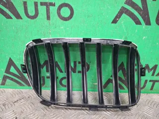 51117210725, 8 решетка радиатора BMW X3 F25 Арт ARM376624, вид 5