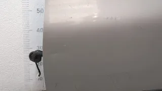 H0101JD0M0 Дверь передняя левая серебристая Nissan Qashqai 1  Арт 20406604, вид 4