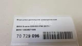 13538571565 Форсунка дизельная электрическая BMW 7 G11/G12 Арт AM70729096, вид 8
