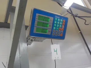 BP4K28011B Пружина задняя Mazda 3 BK Арт BIT770014, вид 6