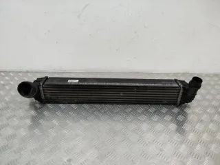 144610001N Интеркулер Renault Laguna 3 Арт 84860, вид 1