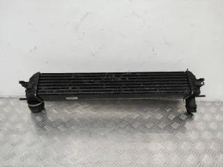 144610001N Интеркулер Renault Laguna 3 Арт 84860, вид 3