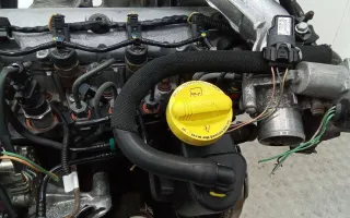  Щуп двигателя Renault Scenic 2 Арт 2_74868