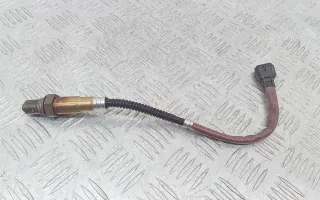 0258010062 Лямбда-зонд Renault Duster 2 Арт 2_64122