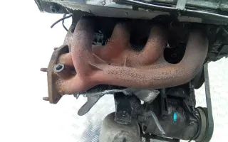 058253033 коллектор выпускной Volkswagen Passat B5 Арт 2_57795, вид 1