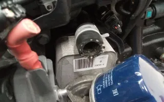 779744 Теплообменник масляного фильтра Renault Twingo 2 Арт 2_55022, вид 2