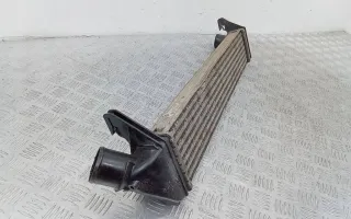 8200409045 Интеркулер Renault Sandero 1 Арт 2_46126, вид 5