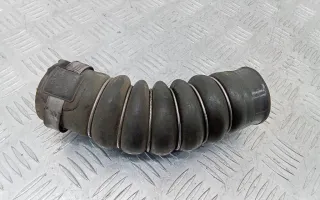  Патрубок интеркулера Renault Kangoo 1 Арт 2_39293