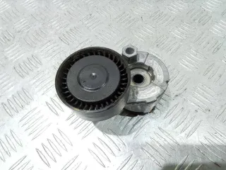 950649,1002602 Натяжитель ремня генератора Renault Scenic 2 Арт 2_37112, вид 1
