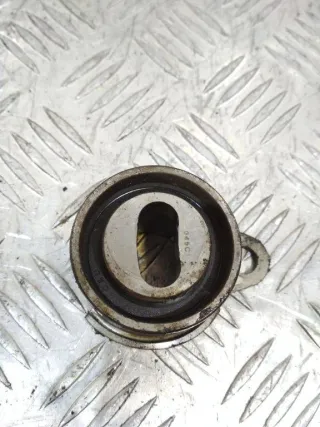 ZL6115031R Ролик натяжителя Renault Scenic 2 1.9л Арт 2_19702, вид 1