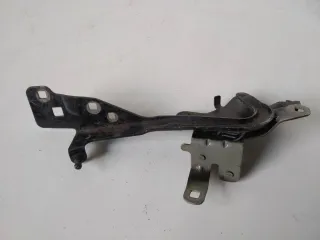 654000004R Петля капота Renault Scenic 3 Арт 2_3493, вид 1