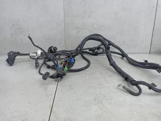 8596720 Проводка двигателя BMW 7 G11/G12 Арт 17-98-20, вид 2