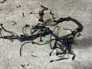 9656560780 Проводка двигателя Citroen Xsara Picasso Арт 3_2081, вид 1