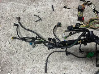 9656560780 Проводка двигателя Citroen Xsara Picasso Арт 3_2081, вид 2