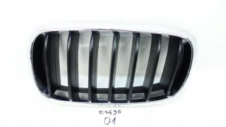 7316075 Решетка радиатора BMW X5 F15 Арт e8834347, вид 1
