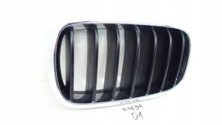 7316075 Решетка радиатора BMW X5 F15 Арт e8834347, вид 2