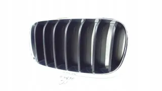 7316075 Решетка радиатора BMW X5 F15 Арт e8834347, вид 3