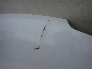  Капот Renault Master 3 restailing Арт e10639247, вид 6
